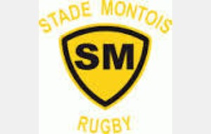 Fed3 F: Stade Montois - USCN